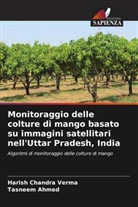 Tasneem Ahmed, Harish Chandra Verma - Monitoraggio delle colture di mango basato su immagini satellitari nell'Uttar Pradesh, India
