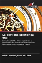 Nereu Antonio Junior de Costa - La gestione scientifica oggi