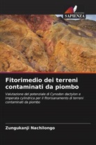 Zungukanji Nachilongo - Fitorimedio dei terreni contaminati da piombo