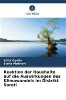 Stella Mukhovi, Edith Ogallo - Reaktion der Haushalte auf die Auswirkungen des Klimawandels im Distrikt Soroti