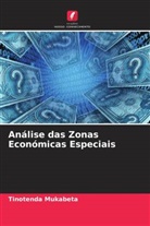 Tinotenda Mukabeta - Análise das Zonas Económicas Especiais