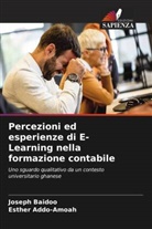 Esther Addo-Amoah, Joseph Baidoo - Percezioni ed esperienze di E-Learning nella formazione contabile