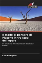 Rubi Rodrigues - Il modo di pensare di Platone in tre studi dell'opera