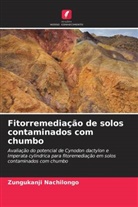 Zungukanji Nachilongo - Fitorremediação de solos contaminados com chumbo