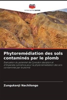 Zungukanji Nachilongo - Phytoremédiation des sols contaminés par le plomb