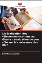 Eric Owusu-Kumih - Libéralisation des télécommunications au Ghana : évaluation de son rôle sur la croissance des PME