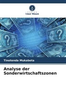 Tinotenda Mukabeta - Analyse der Sonderwirtschaftszonen