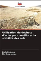 Rishabh Arora, Hardeep Jaglan - Utilisation de déchets d'acier pour améliorer la stabilité des sols