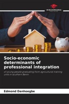 Edmond Danhoegbe - Socio-economic determinants of professional integration