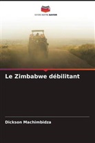 Dickson Machimbidza - Le Zimbabwe débilitant