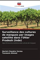 Tasneem Ahmed, Harish Chandra Verma - Surveillance des cultures de mangues par images satellite dans l'Uttar Pradesh (Inde)