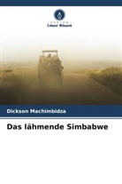 Dickson Machimbidza - Das lähmende Simbabwe