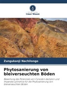 Zungukanji Nachilongo - Phytosanierung von bleiverseuchten Böden