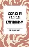 William James - Essays in Radical Empiricism