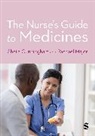 Sheila Cunningham, Sheila Major Cunningham, Cunningham Sheila, Rachael Major - Nurse''s Guide to Medicines