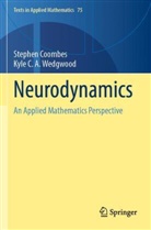 Stephen Coombes, Kyle C. A. Wedgwood - Neurodynamics
