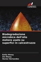 Hector Hernandez, Emily Htway, Zin Htway - Biodegradazione microbica dell'olio motore usato su superfici in calcestruzzo