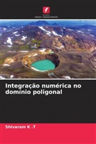 Shivaram K . T, Shivaram K .T - Integração numérica no domínio poligonal