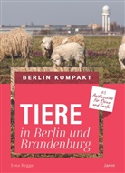 Svea Rogge - Tiere in Berlin und Brandenburg