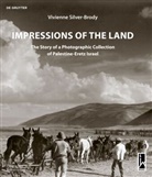 Vivienne Silver-Brody, Silver-Brody Vivienne - Impressions of the Land