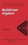 Russell Merris - Multilinear Algebra