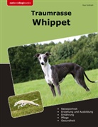 Paul Grefrath - Traumrasse Whippet