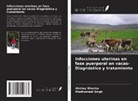 Akshay Sharma, Madhumeet Singh - Infecciones uterinas en fase puerperal en vacas-Diagnóstico y tratamiento