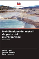 Samira Baraho, Sara Mansour, Ilham Zahir - Mobilitazione dei metalli da parte dei microrganismi