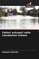Adegoke Olatunde - Fattori antropici nelle inondazioni urbane