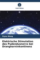 Siyou Wang - Elektrische Stimulation des Pudendusnervs bei Drangharninkontinenz