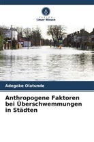 Adegoke Olatunde - Anthropogene Faktoren bei Überschwemmungen in Städten