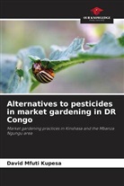 David Mfuti Kupesa - Alternatives to pesticides in market gardening in DR Congo
