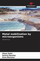 Samira Baraho, Sara Mansour, Ilham Zahir - Metal mobilization by microorganisms