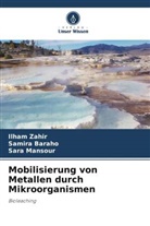 Samira Baraho, Sara Mansour, Ilham Zahir - Mobilisierung von Metallen durch Mikroorganismen