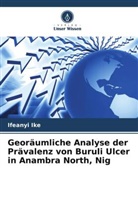 Ifeanyi Ike - Georäumliche Analyse der Prävalenz von Buruli Ulcer in Anambra North, Nig
