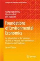 Wolfgang Buchholz, Christiane Reif, Dirk Rübbelke - Foundations of Environmental Economics