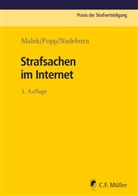 Klaus Malek, Diana Nadeborn, Andreas Popp - Strafsachen im Internet