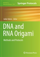 Julián Valero - DNA and RNA Origami
