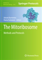 Antoni Barrientos, Fontanesi, Flavia Fontanesi - The Mitoribosome