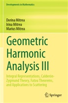 Dorina Mitrea, Irina Mitrea, Marius Mitrea - Geometric Harmonic Analysis III