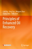 Caili Dai, Qing You, Fulin Zhao, Guang Zhao, Mingwei Zhao, Mingwei et al Zhao - Principles of Enhanced Oil Recovery