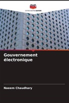 Naeem Chaudhary - Gouvernement électronique