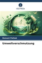 Hemant Pathak - Umweltverschmutzung