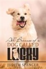 Judith Spencer - All Because of a Dog Called Lucky