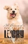Judith Spencer - All Because of a Dog Called Lucky