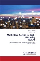 Saloua BRAHMI, Mohand YAZID - Multi-User Access in High-Efficiency WLANs
