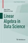 Roberta La Haye, Peter Zizler - Linear Algebra in Data Science