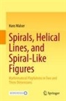 Hans Walser - Spirals, Helical Lines, and Spiral-Like Figures