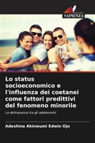Adeshina Akinwumi Edwin Ojo - Lo status socioeconomico e l'influenza dei coetanei come fattori predittivi del fenomeno minorile
