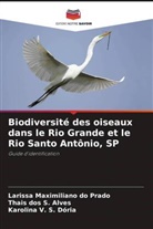 Thais dos S. Alves, Larissa Maximiliano do Prado, Karolina V. S. Dória - Biodiversité des oiseaux dans le Rio Grande et le Rio Santo Antônio, SP